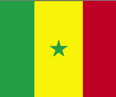 AU SENEGAL